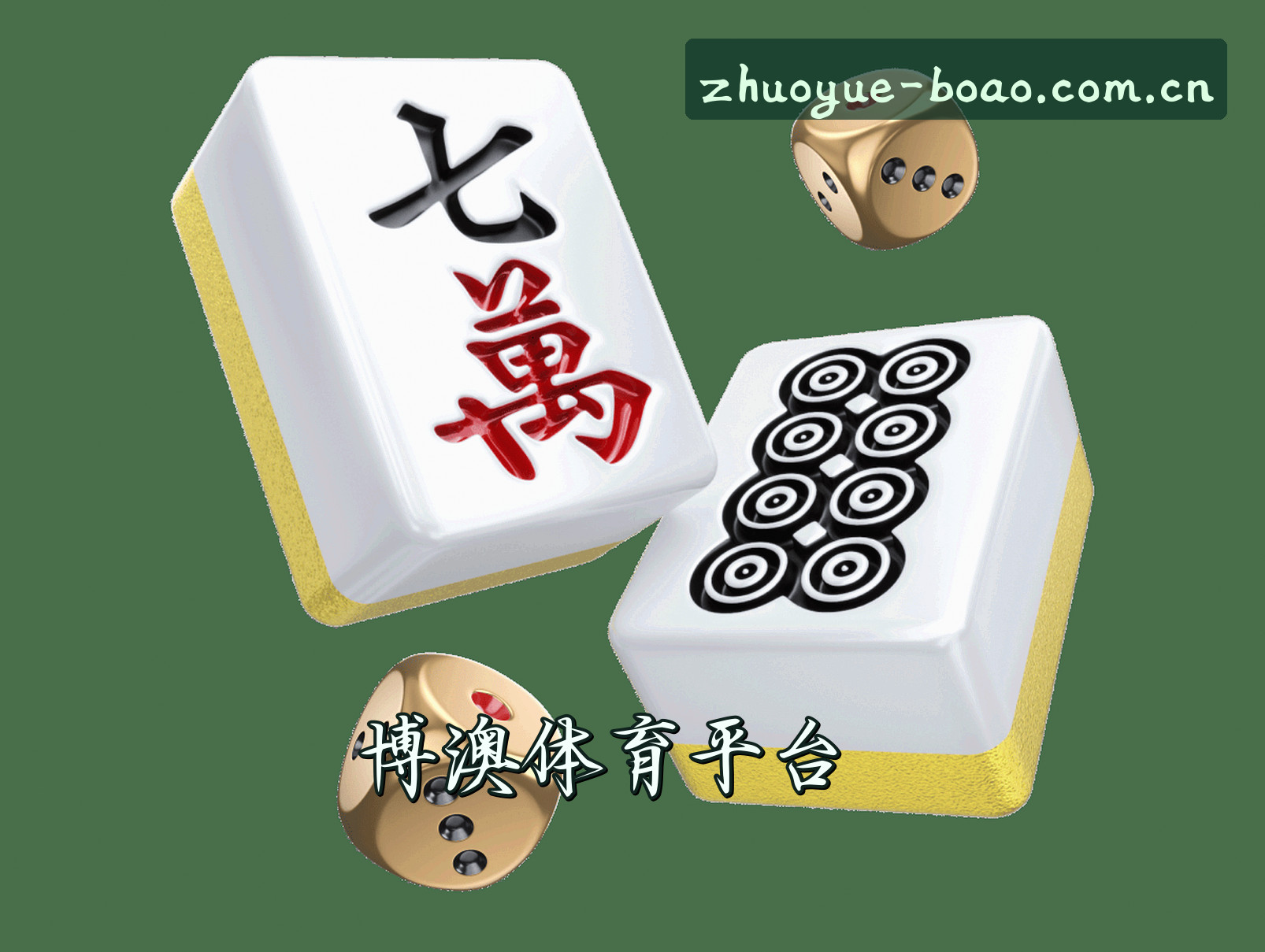 关于我们介绍